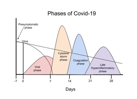 The Lifecycle Model: Has the Timing of the COVID.